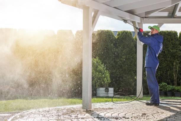 Best Solar Panel Cleaning  in Short Hills, NJ