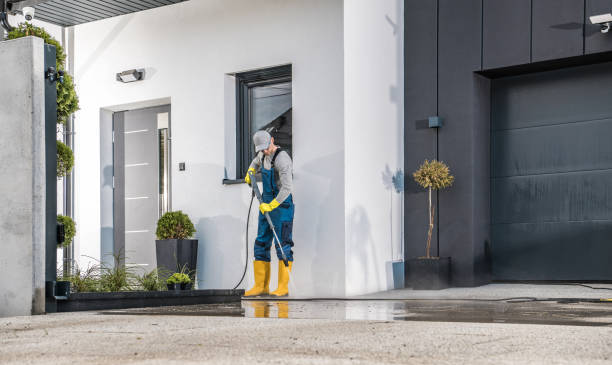 Best Roof Washing  in Short Hills, NJ